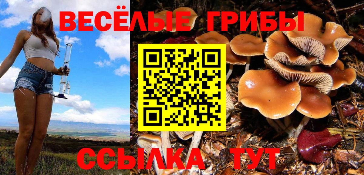 Ростов-на-Дону  Псилоцибиновые грибы Magic Shrooms  Вход с VPN 